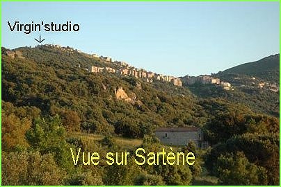 location corse appartement