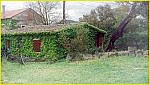 location villa corse &agrave; Sartene