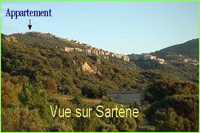 location appartement corse