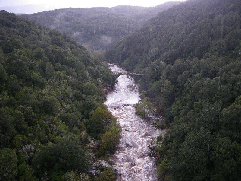 location corse