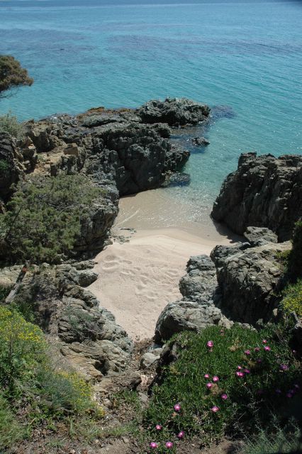 location corse