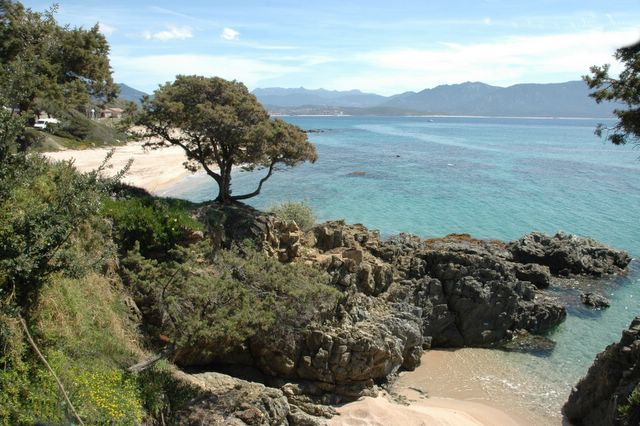 location corse