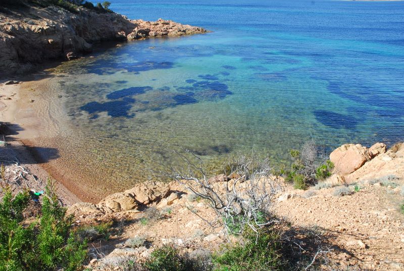 location corse