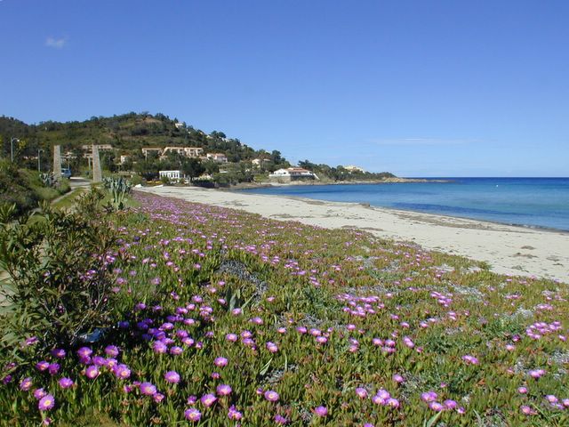 location corse