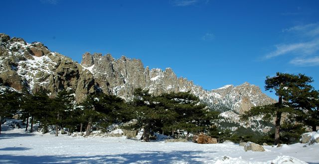 location corse