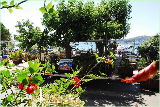 location corse