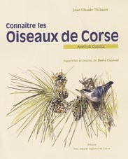 livre corse - location corse
