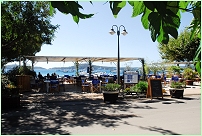 location appartement corse