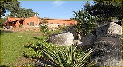 location villas corse