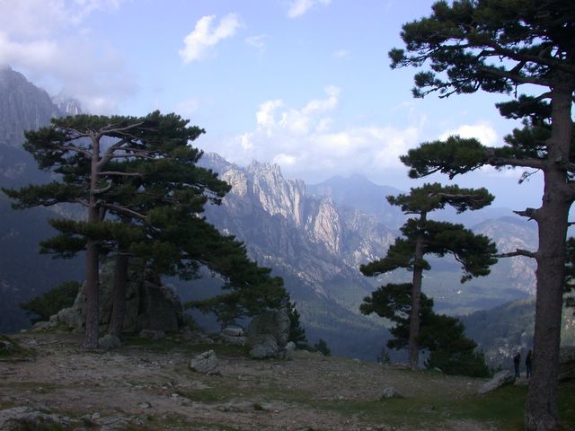 location corse