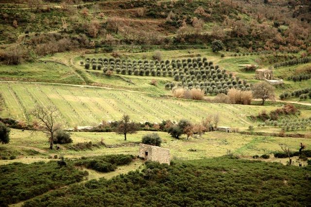 location corse