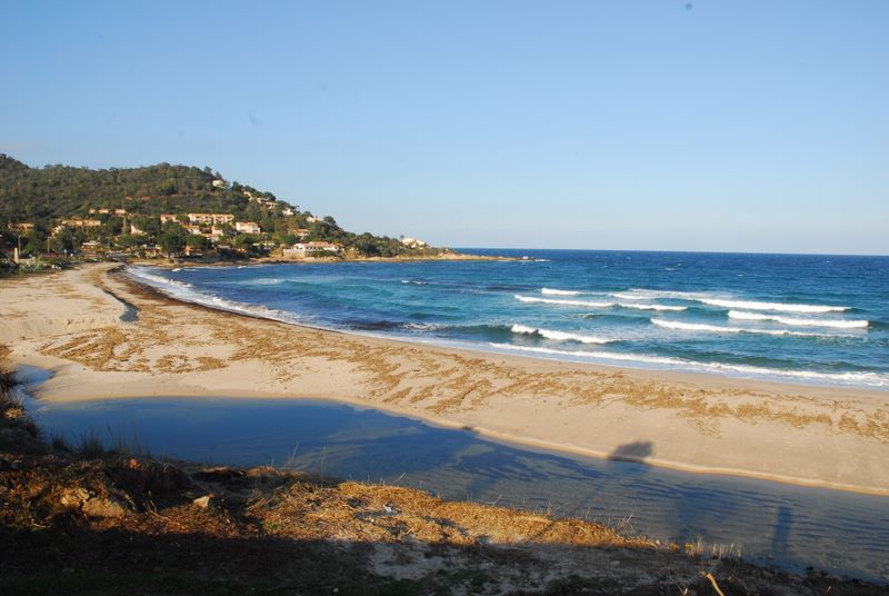 location corse