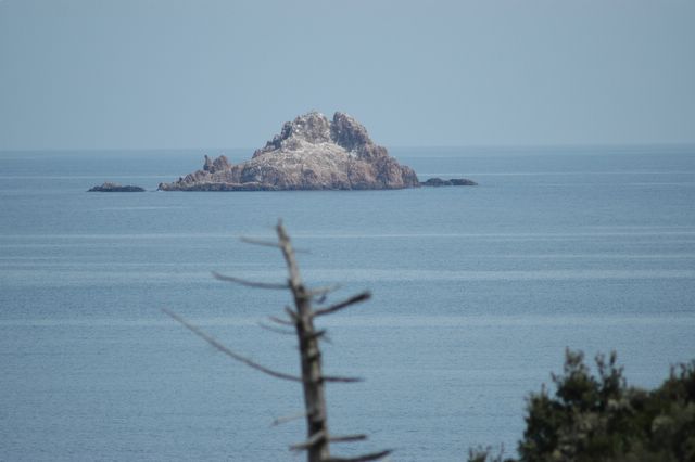 location corse