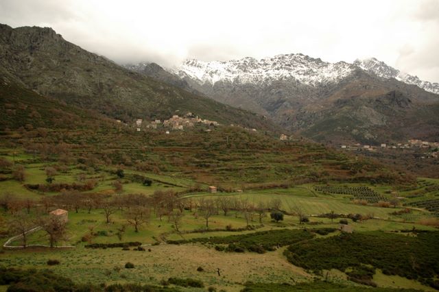 location corse