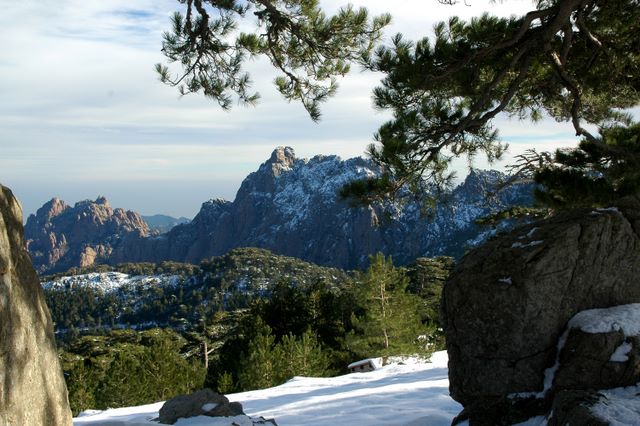 location corse