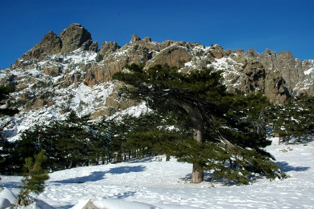 location corse